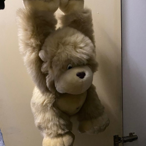 Stuffed monkey used