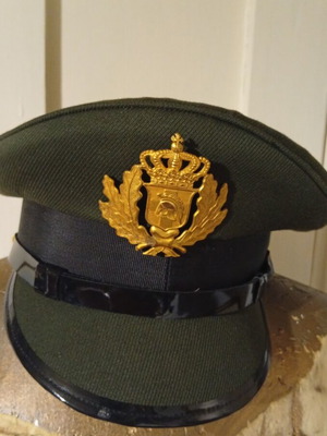 N2 Armored Corps uniform cap, collectible