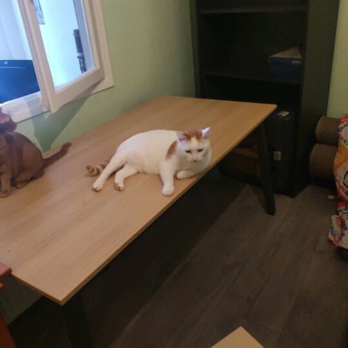 Dromeas office furniture used, desk with drawers and bookshelf
