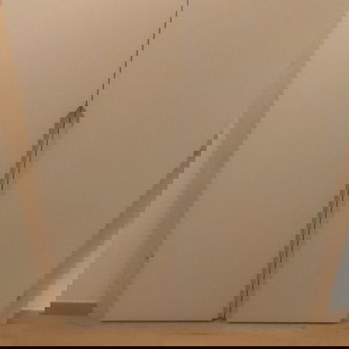 Μασιφ φύλλα ντουλάπας καινούργια, ατόφιο ξύλο, 3 τεμάχια, χρώμα 9003