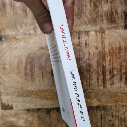 Novel book in excellent condition