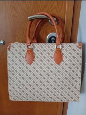 Handbag and shoulder bag, beige and brown