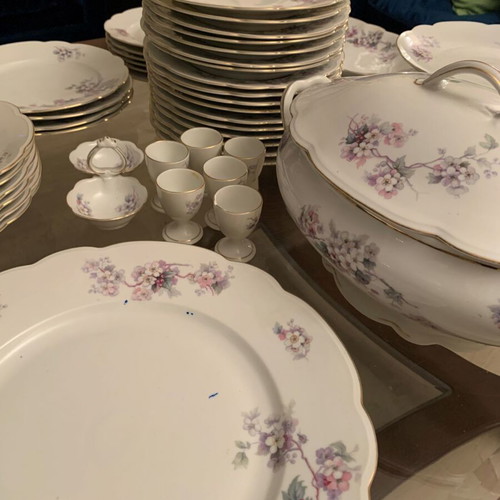 MZ Altrohlaou CM-R porcelain antique dinnerware set used, 55 pieces