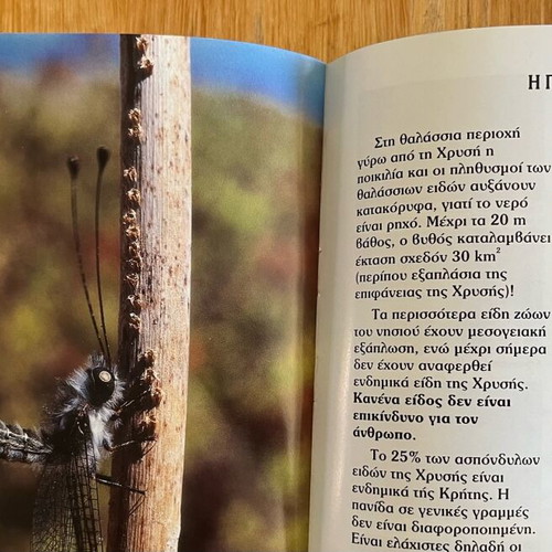 The island of Chrysi book like new, Municipality of Ierapetra 2000