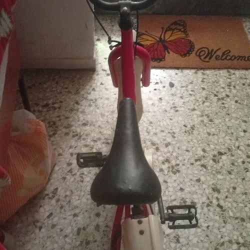 Trail girls bicycle used, V-Brakes, needs tire inflation, no stand