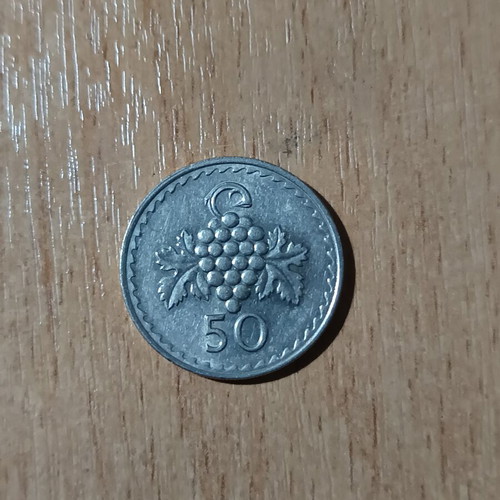 50 Mils Cyprus collectible coin 1979, grape design