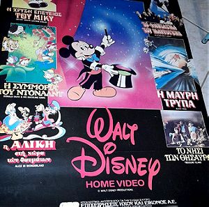 Σπανια συλλεκτικη αφισα γιγας του Walt Disney, Home Video