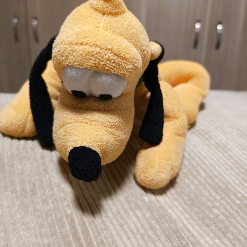 Pluto plush used