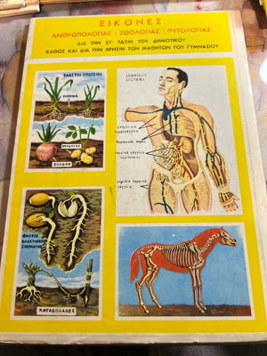 Book Images of Anthropology - Zoology - Phytology like new, vintage