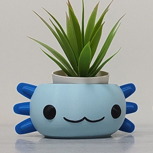Axolotl planter new for small plants and succulents 3D printed