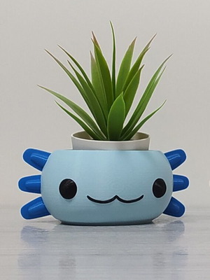 Axolotl planter new for small plants and succulents 3D printed