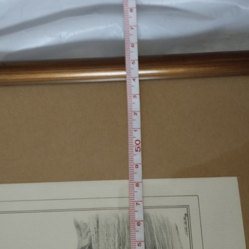 Engravings in wooden frame set of 3 like new