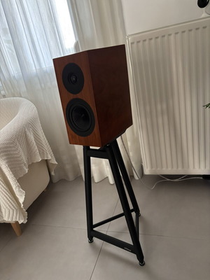 Davis Acoustics Courbet N3 speakers with Solidsteel SS-6 stands and Sub REL T Zero subwoofer, like new