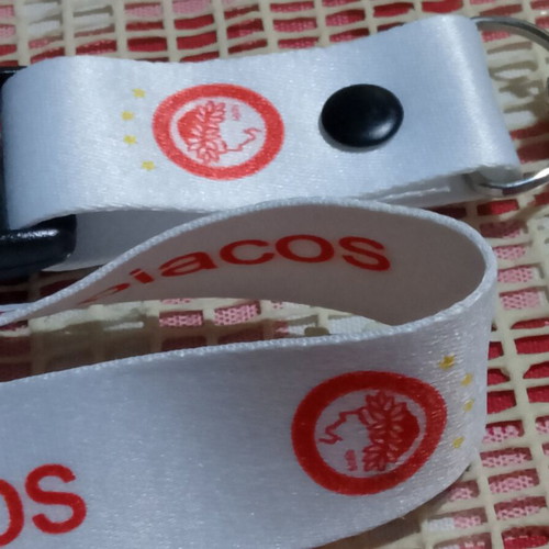 Olympiacos F.C. lanyard new, authentic