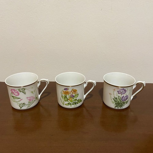 Flora Graeca collectible porcelain cup set by Niki Goulandri new