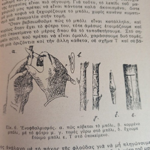 Agricultural Book Η Αμυγδαλιά used, Greek language