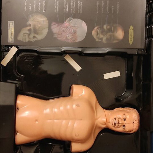 Game The Sports and the Human Body used