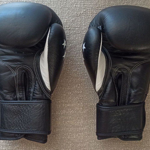 Force1 F-1020 Boxing Gloves like new, 14oz, leather