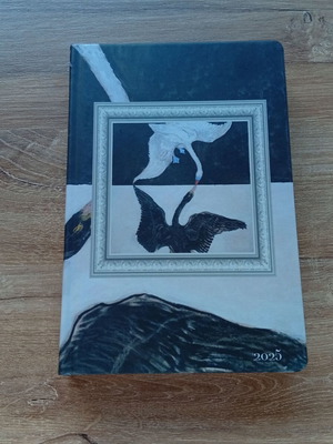 2025 Diary A5 new