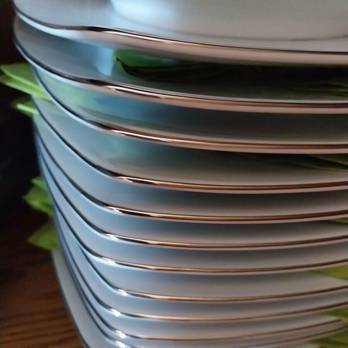 Emfasi modern porcelain dinnerware set with platinum design, 40 pieces