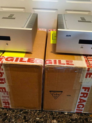 AVM Evolution M5 Mono amplifier used, excellent condition