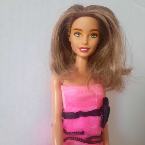 Barbie Fashionistas doll Neysa mold used