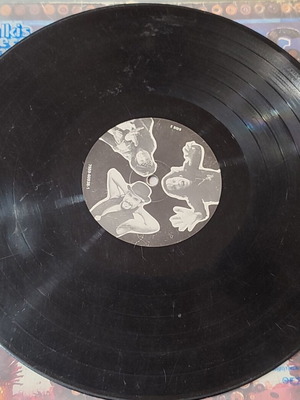 Havalinas vinyl record used with scratches