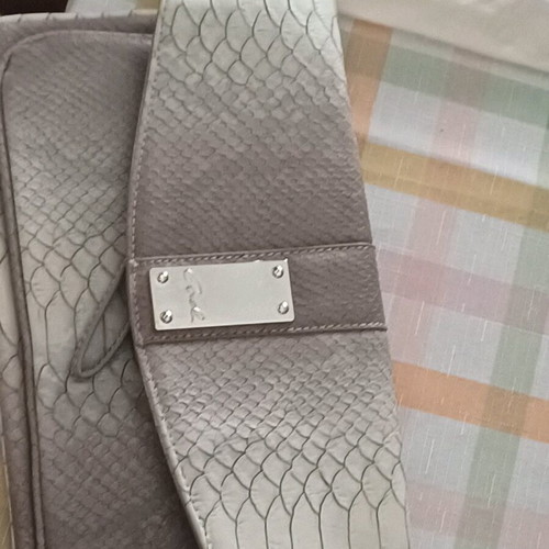 Axel envelope bag new in unique color with multiple compartments