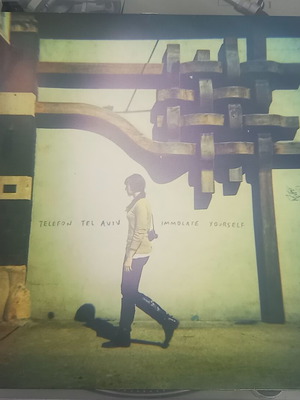 Immolate Yourself vinyl by Telefon Tel Aviv like new, electronic
