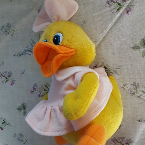 Plush duck used