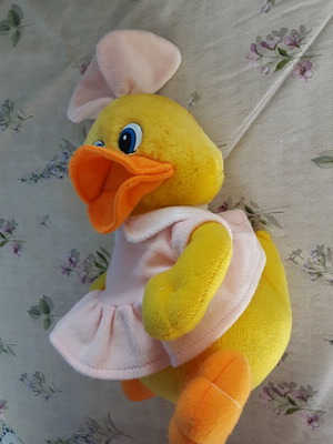 Plush duck used