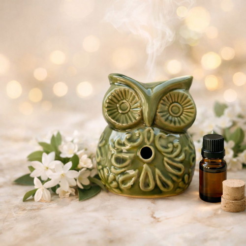 Owl wax melts burner green with gift wax melts new