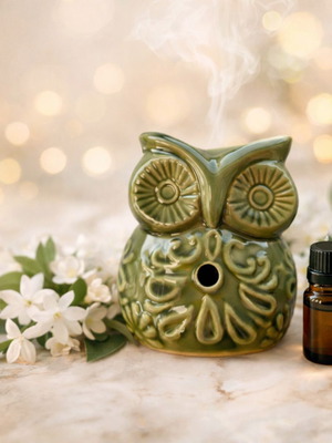 Αρωματιστής για wax melts κουκουβάγια πράσινη και δώρο wax melts καινούργιο