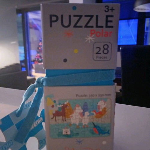 Puzzle Polar New Christmas 28 Pieces New With Gift Book