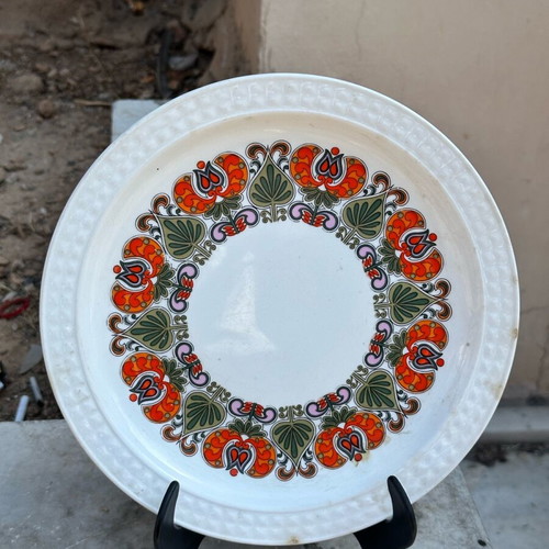 Pontesa Ironstone Collectible Plate used with Retro Floral Design