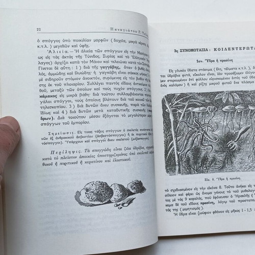 Zoology Handbook School Textbook Gymnasium 1965 like new