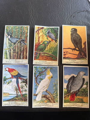 Liebig vintage collectible cards set of 6 parrots new