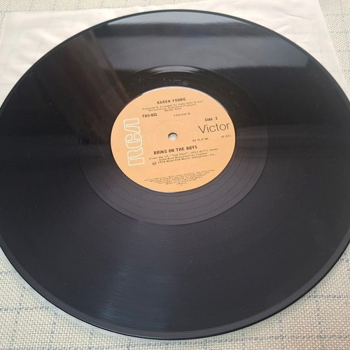 Karen Young Hot Shot 12' vinyl record used, R&B Soul
