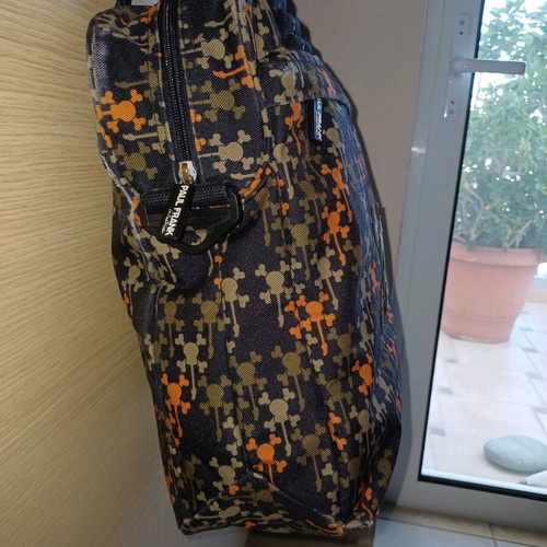 Paul Frank bag like new in harmonious colors