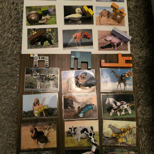 Montessori Animal Photos and Figures Game used