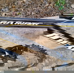  Ideal Pro Rider 26"