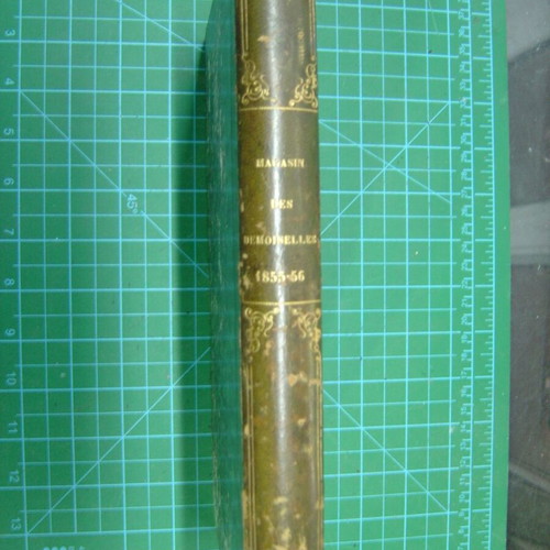 1855 full-page engravings used, collection of 19 pieces