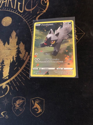 Pokemon Poochyena used