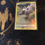 Pokemon Poochyena used