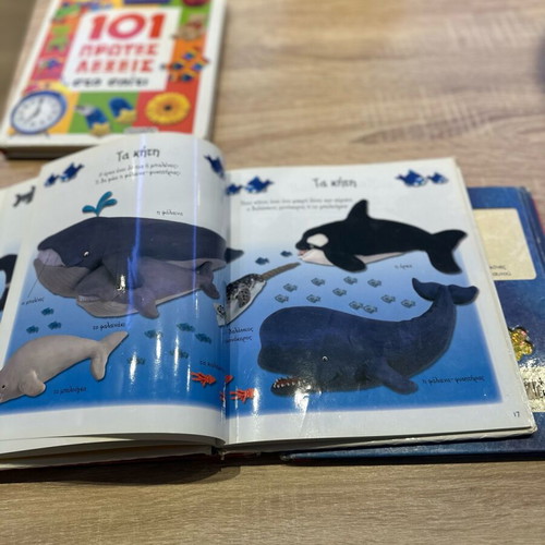 Children's books used, pack of 4, educational and bee-themed