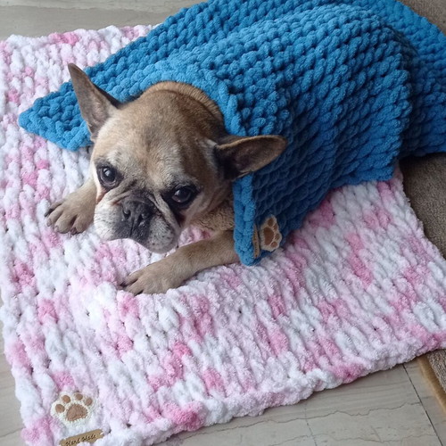Handmade pet blanket with Alize Puffy yarn made to order, hypoallergenic