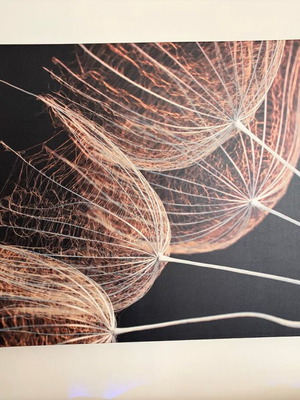 Modern poster painting like new with macro floral design