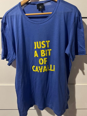 Just Cavalli blouse used, size L, blue, slightly transparent fabric