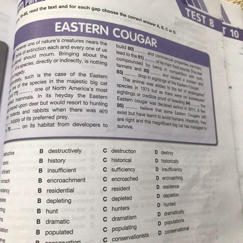 ESB Practice Tests Level 3 (C2) student’s book used for Proficiency