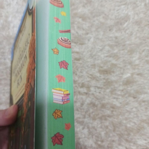 The Bookstore Cinnamon Bun like new